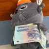 nỗi đau từ người đến sau