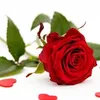 user653043802340