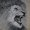 noor.anouar2
