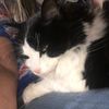 lynn.davis274