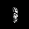 user1107181258333
