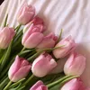 hello_imy2