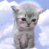 4cutbubbles