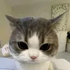 dbugzfgfcgvc6