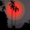 kashif.khan84327