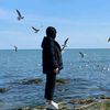 ciknor_13033