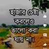 areeza494