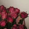sh__17f