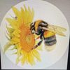 thebuzzinggrace