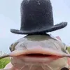 cat.fish16