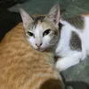 shy633711