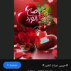 user4591710229817