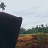 azmi.wahyudi46