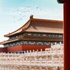 Next Wonder China 🇨🇳