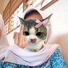 ordjuansyafa9