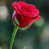 abir.hussin09