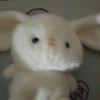 pokii.4