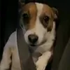 raphinhalinda13