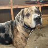 brody84539