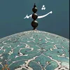 8l_q6