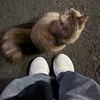 amira.khaled129