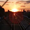 sektor_hh
