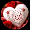 user3341987761158