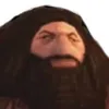 decomputerkundige