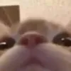 fyie.a