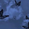 nour.45677