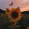 leni_summergirly