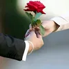 jdy.gsy