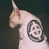 xpalachx0