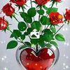xuseyn393
