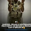vida526544