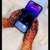 user8615910658860