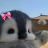 danna._531