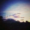 alzz_776