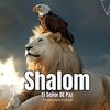 shalom.jiret36