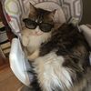 addison.claire41