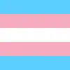 TransFembPage