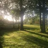 user94816076114291