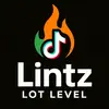 lintz_lot.level