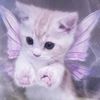 abbyclaire1316