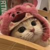 leavemealone1580