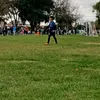 lio_pela