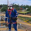 leo433396