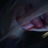 joannaofcccc