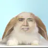 565747647567484ff