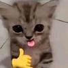 jglgcallmkboy0